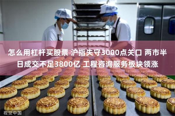 怎么用杠杆买股票 沪指失守3000点关口 两市半日成交不足3800亿 工程咨询服务板块领涨