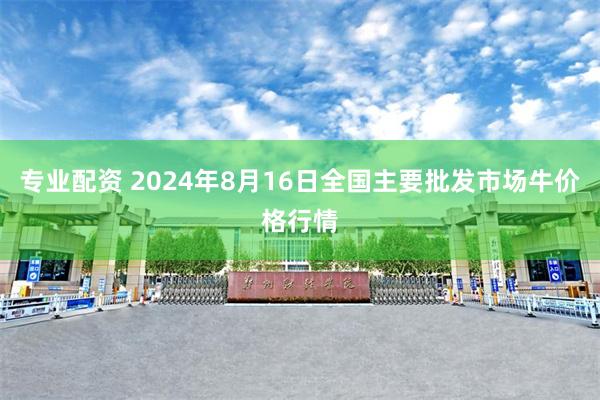 专业配资 2024年8月16日全国主要批发市场牛价格行情