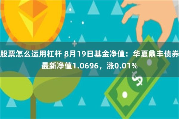 股票怎么运用杠杆 8月19日基金净值：华夏鼎丰债券最新净值1.0696，涨0.01%