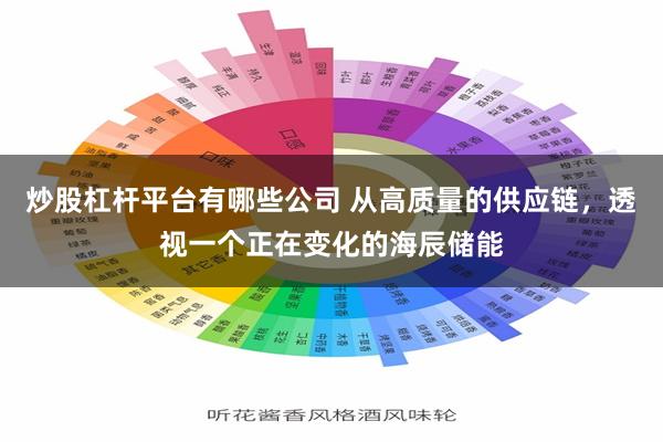 炒股杠杆平台有哪些公司 从高质量的供应链，透视一个正在变化的海辰储能