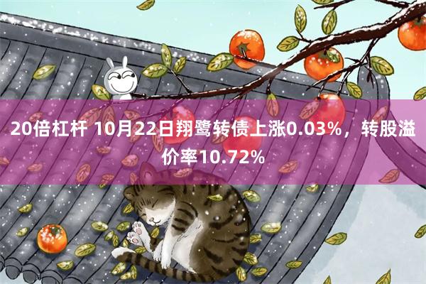 20倍杠杆 10月22日翔鹭转债上涨0.03%，转股溢价率10.72%