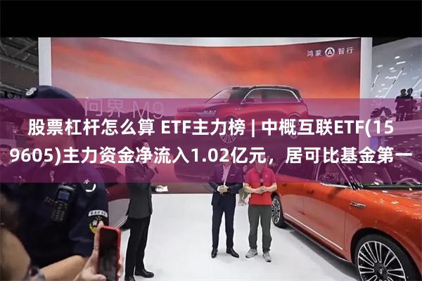 股票杠杆怎么算 ETF主力榜 | 中概互联ETF(159605)主力资金净流入1.02亿元，居可比基金第一